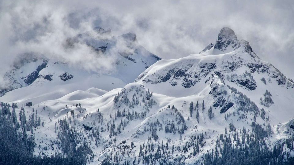 Snowy mountain in BC Canada. Dramtic peaks with pine trees below in avalanche terrain