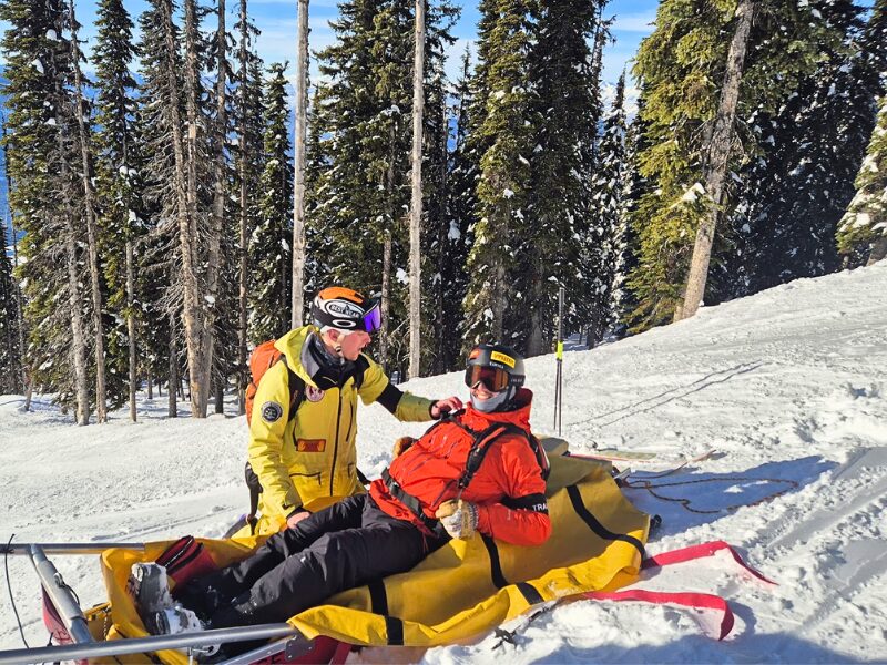 Remote Dogsled Teams: Wilderness Travel and Arctic Logistics