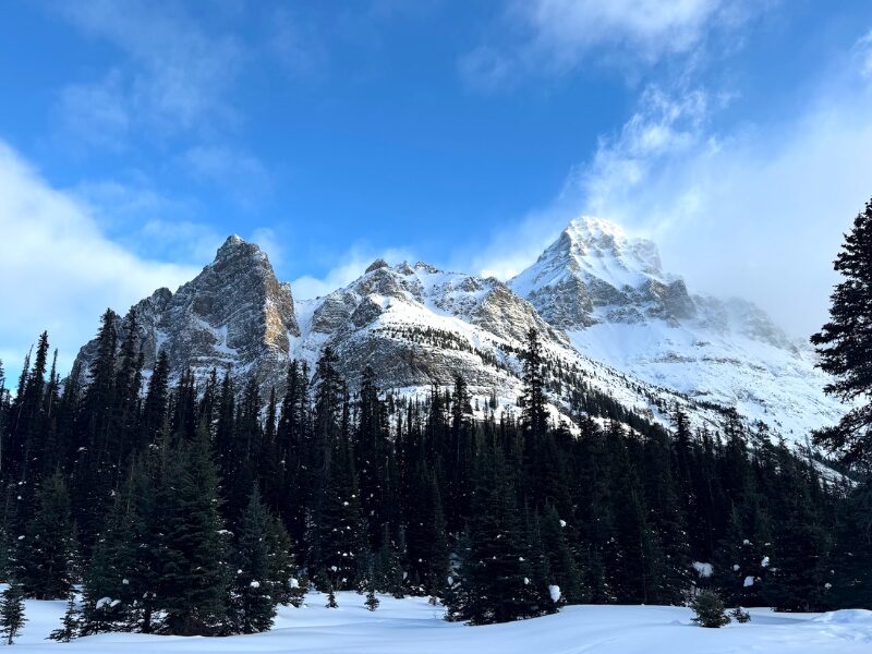 Railway and Highway Avalanche Clearance Teams: Keeping Routes Open in the Deep of Winter